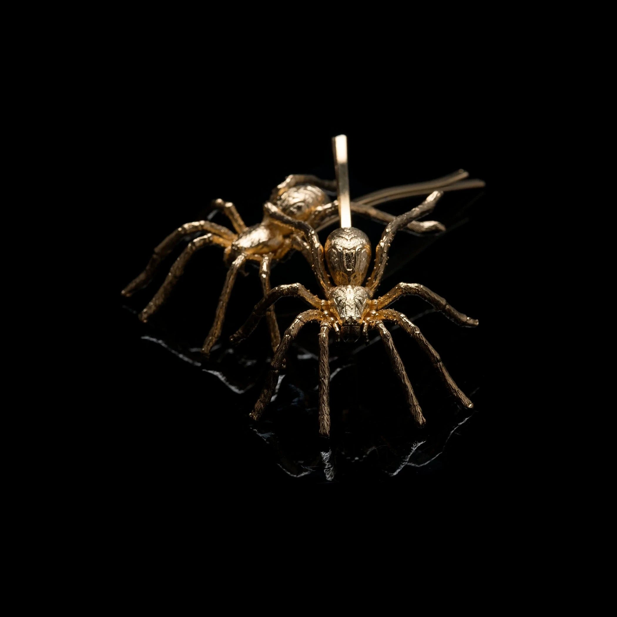 Two gold spider slides against a black background.