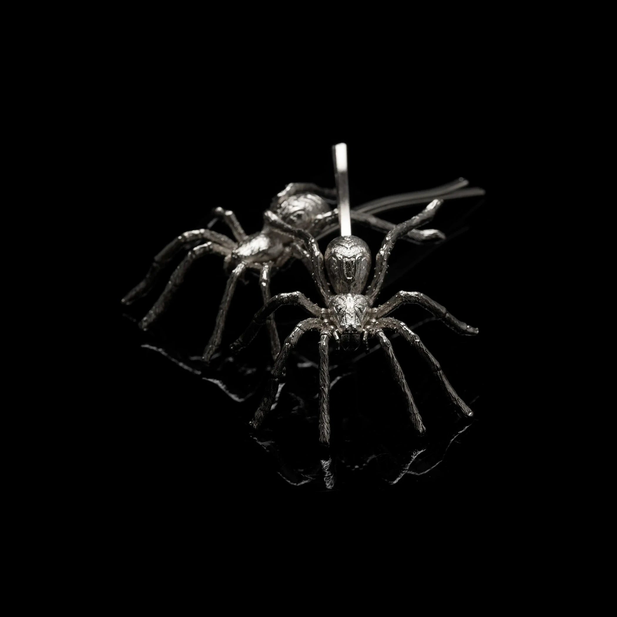Alternative view of rhodium spider slides against a black background.