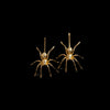 Alternative view of two gold spider slides against a black background.