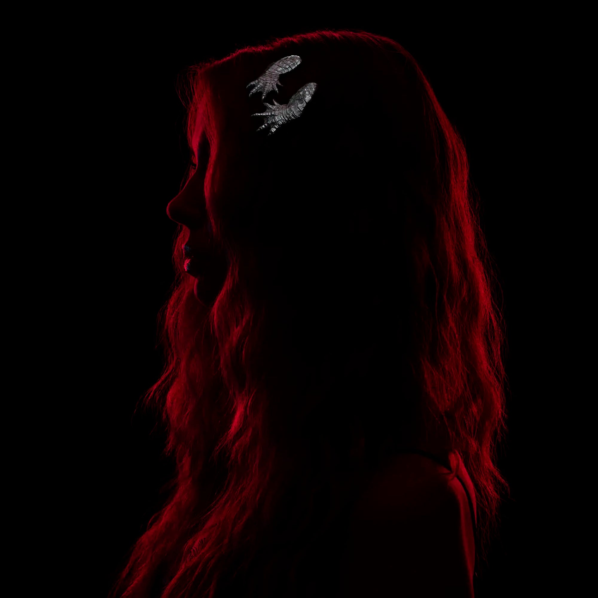 Model wearing rhodium alligator claw hair slides against a black background.