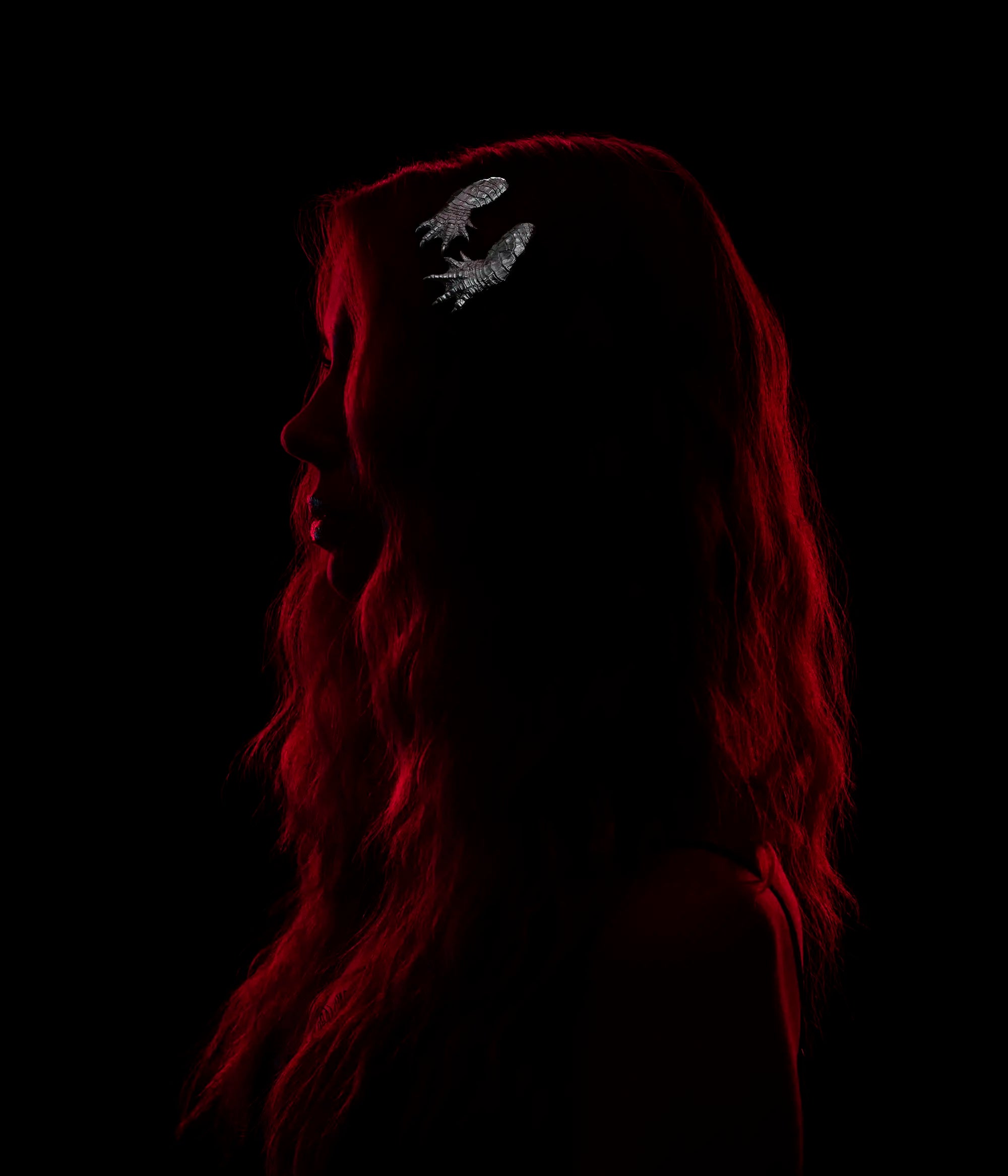 Model wearing rhodium alligator claw hair slides against a black background.